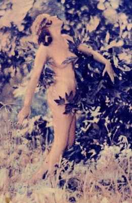 Edwin Bower Hesser Hollywood Nudes eBook by Baraka