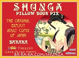 SHUNGA Pillow Book Pictures  eBook byBaraka